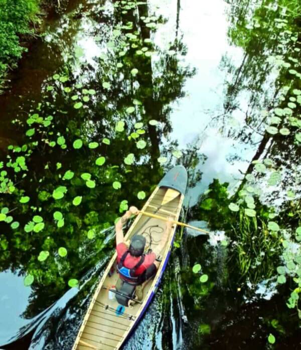 Jesień w Kanadzie 7.12.2025