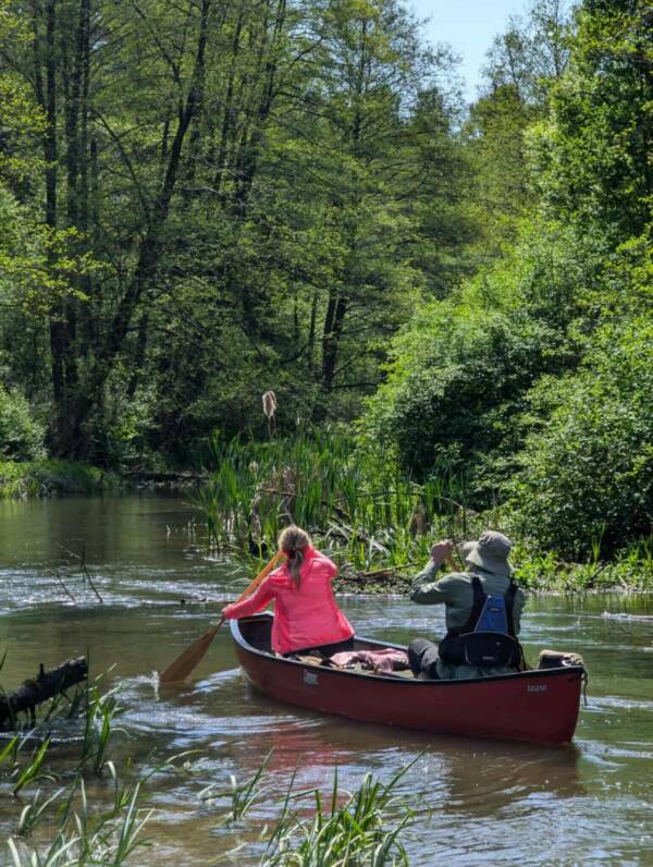 Jesień w Kanadzie 6.12.2025